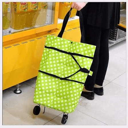 Shopping Trolleys & Carriers