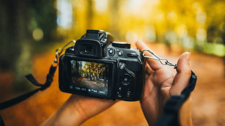 DSLR Cameras