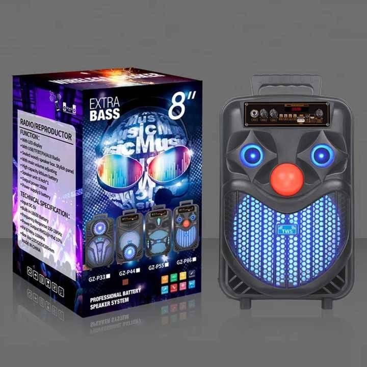 NDR P66 8inch Wireless Speaker With Karaoke Mic
