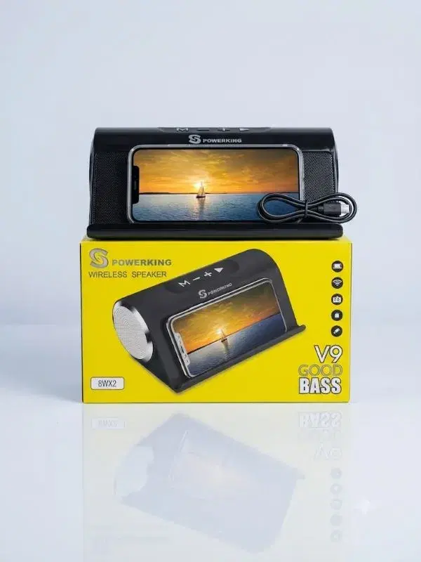 Powerking Wireless Speaker V9