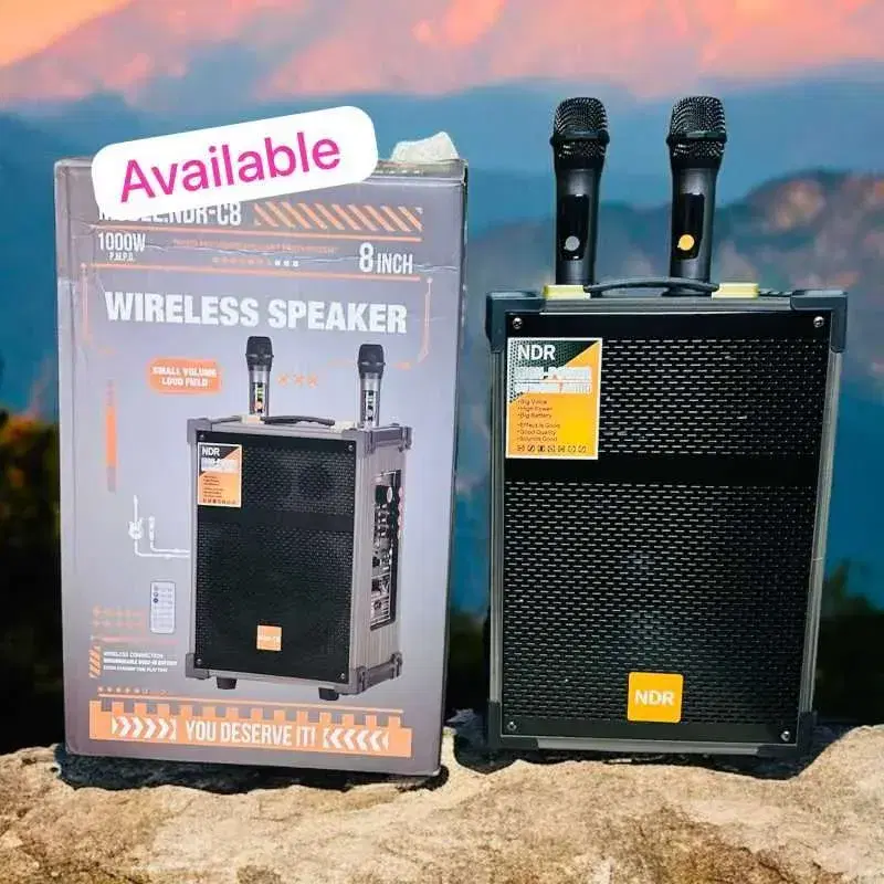 NDR-C8 8-inch wireless karaoke Bluetooth speaker. thumbnail 2