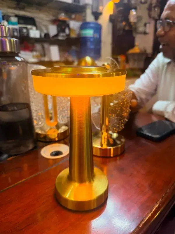 LED Cordless Table Lamp Bulk Rechargeable,Gold