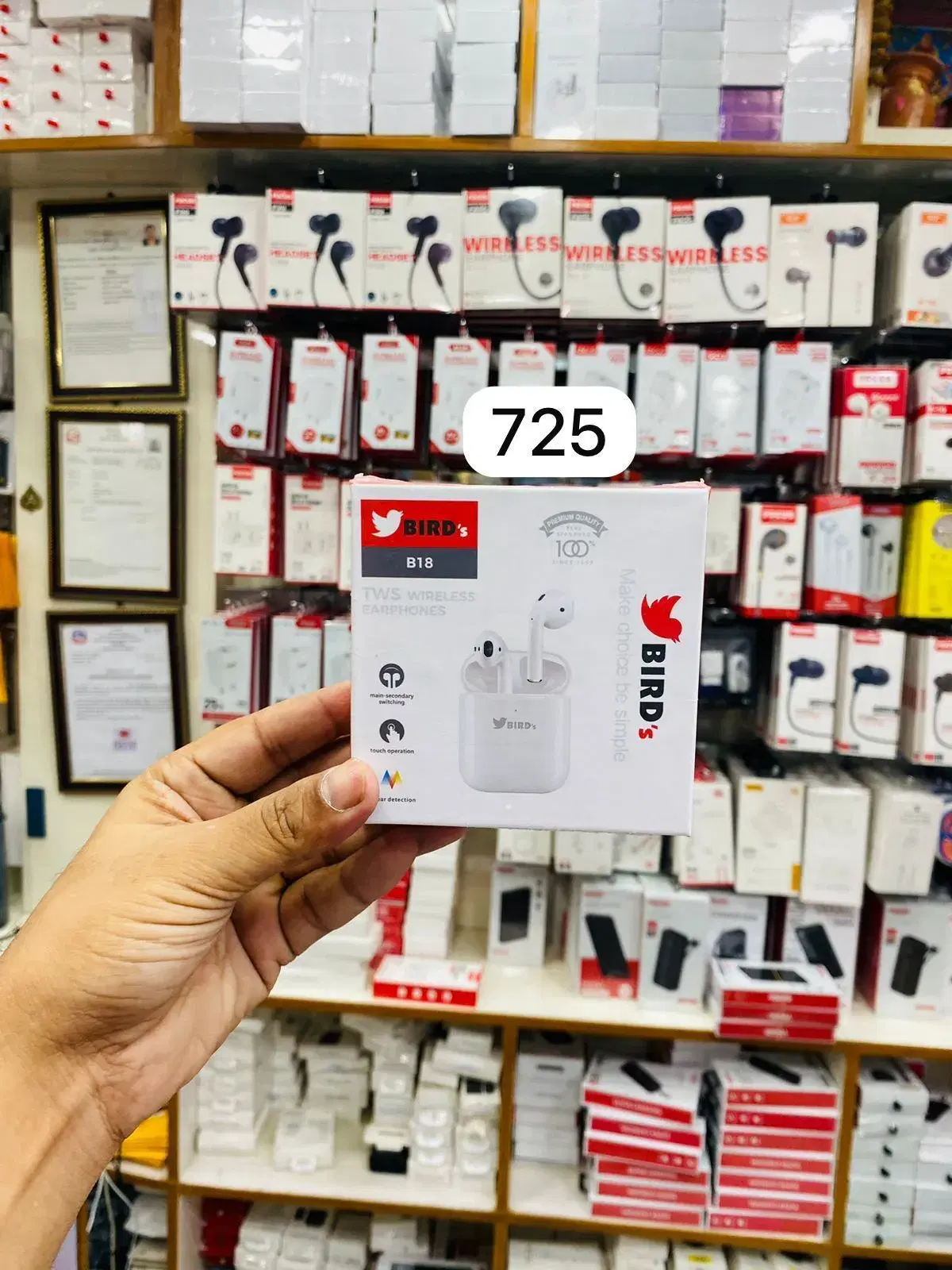 Bird's B18 Earbuds