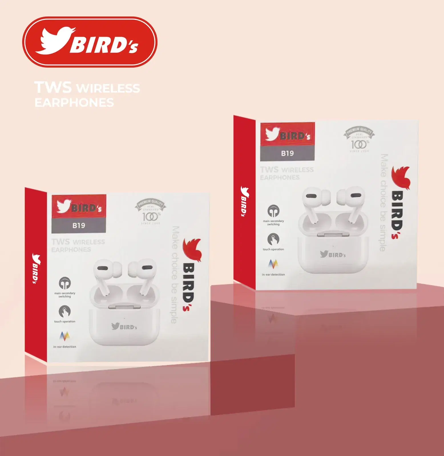 Bird's B19 Earbuds