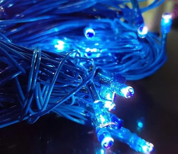 20 Meter 200 LED LIGHT Rice Light /Tihar Lights