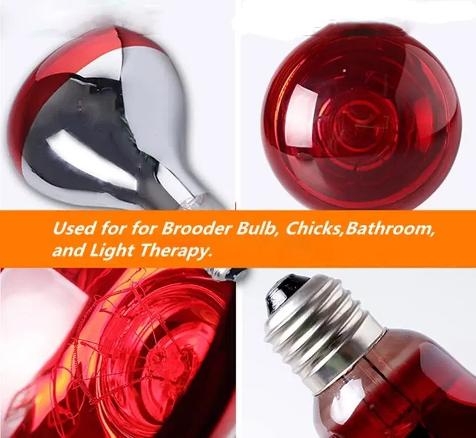 Infrared Heating Lamp Breeding Bulb 250 Watt For Animals - Red