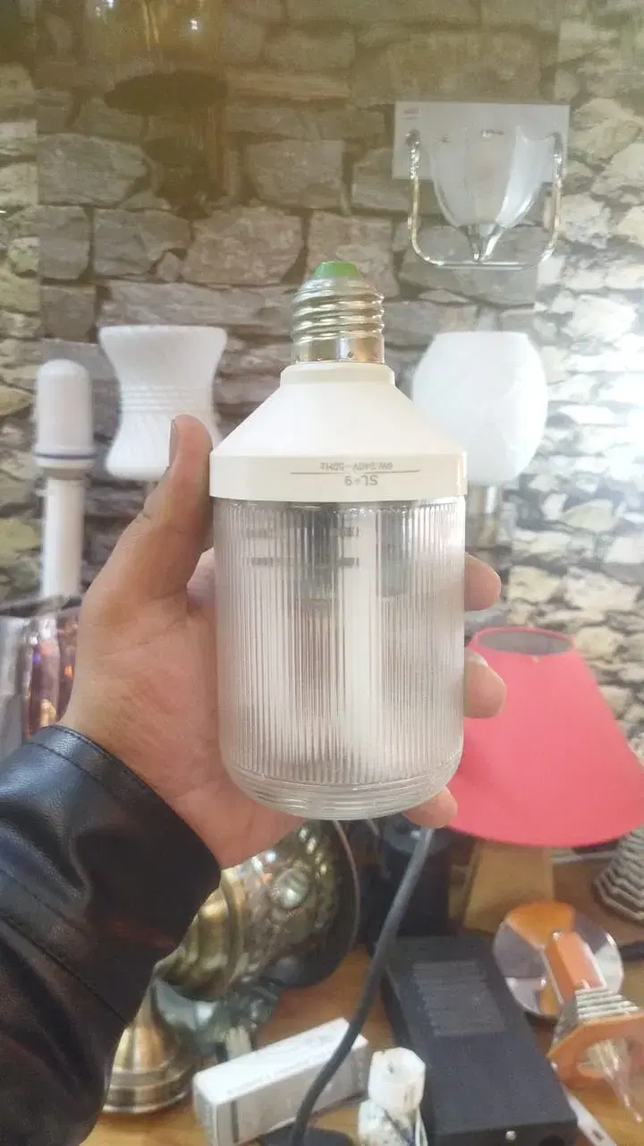 holland philips bulb 1year warranty