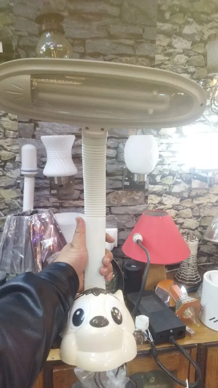 Study Table Lamp