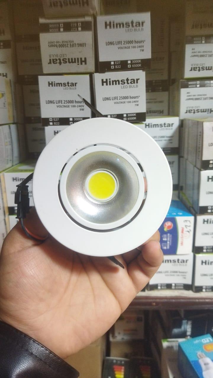 Rajdhani COB Light