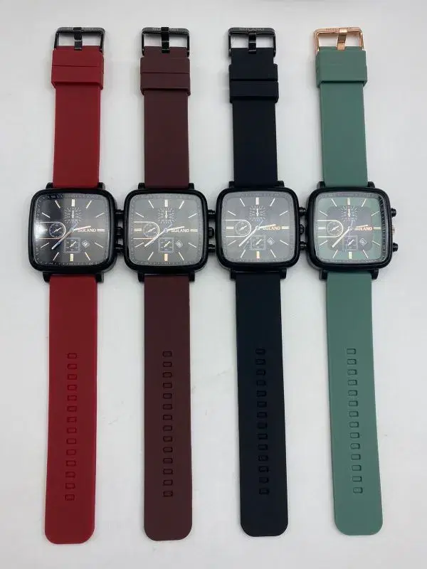 Bolano Elegant-looking watch