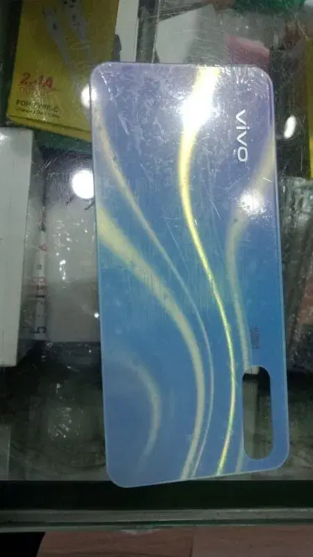 Vivo S1 back panel