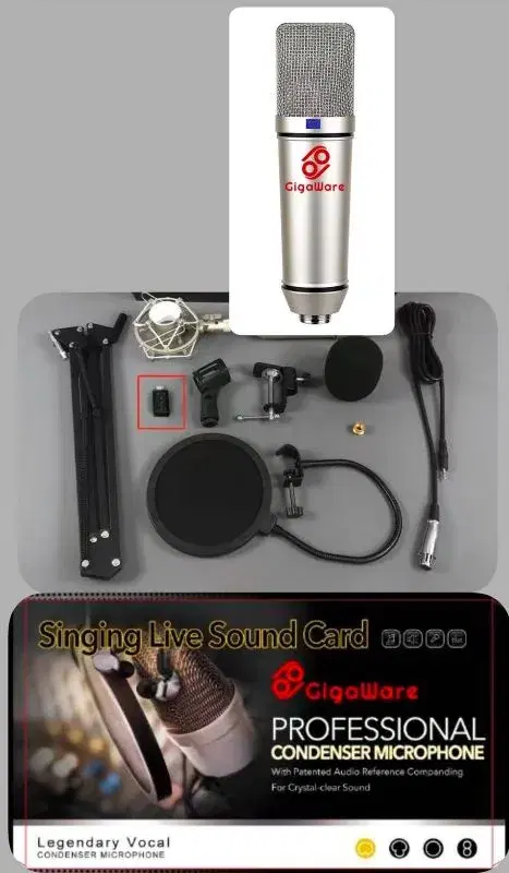 Giga U87 Microphone with best quality