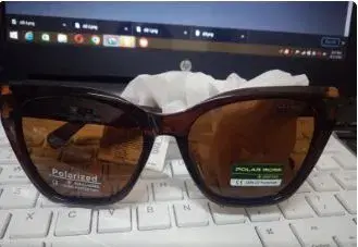 Celine Branded Polar Rose Sunglasses