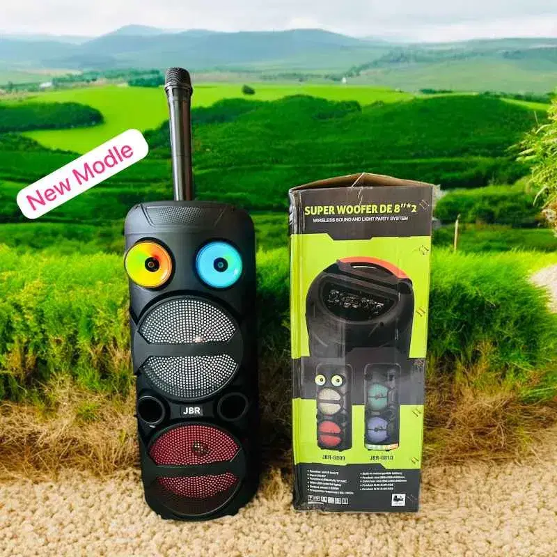 JBR-8809 Hot Sale Cheaper Daul 8 Inch Loud Super Bass Wireless Portable Karaoke Speakers FM Radio Party DJ Active Stereo Speaker.