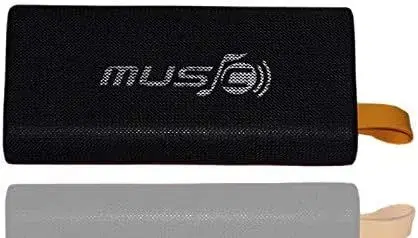 WS-2810 Bluetooth Wireless Speaker.