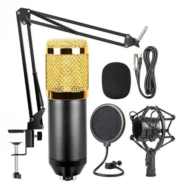 Professional Condenser Microphone With patented audio reference companding for crystal-clear sound|| BM800+.