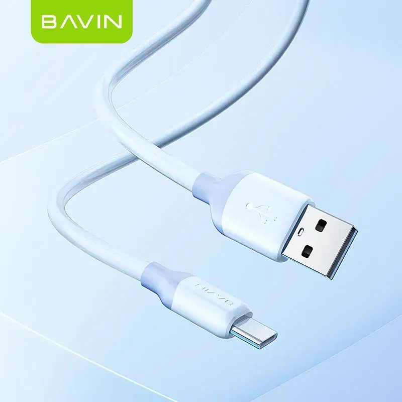 BAVIN CB306Type C to Type C