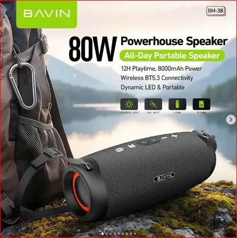 Bavin BM-38 80W wireless speaker.