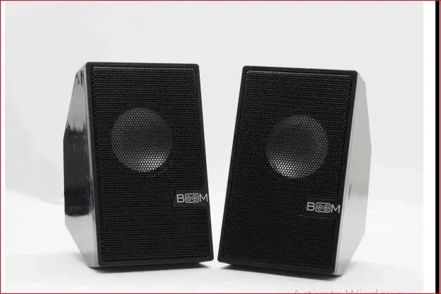 NEXGEN Boom Box BM 555
