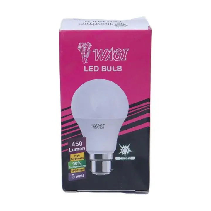 5 Watt Led Bulb
