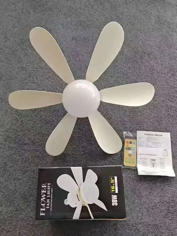 LED Fan with light and remote
